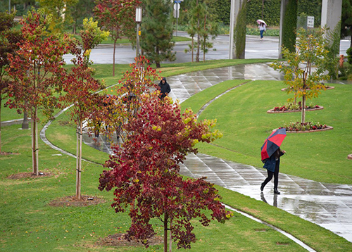 uc irvine